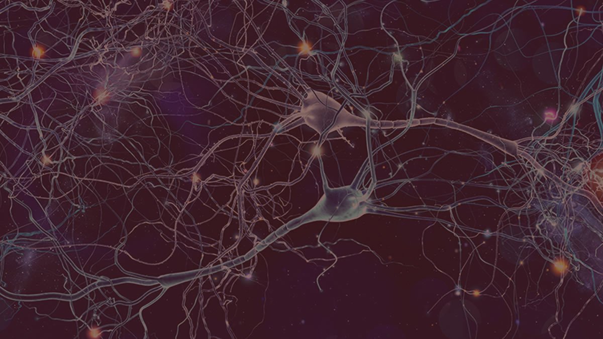 Neuroplasticidad: crear nuevas conexiones neuronales